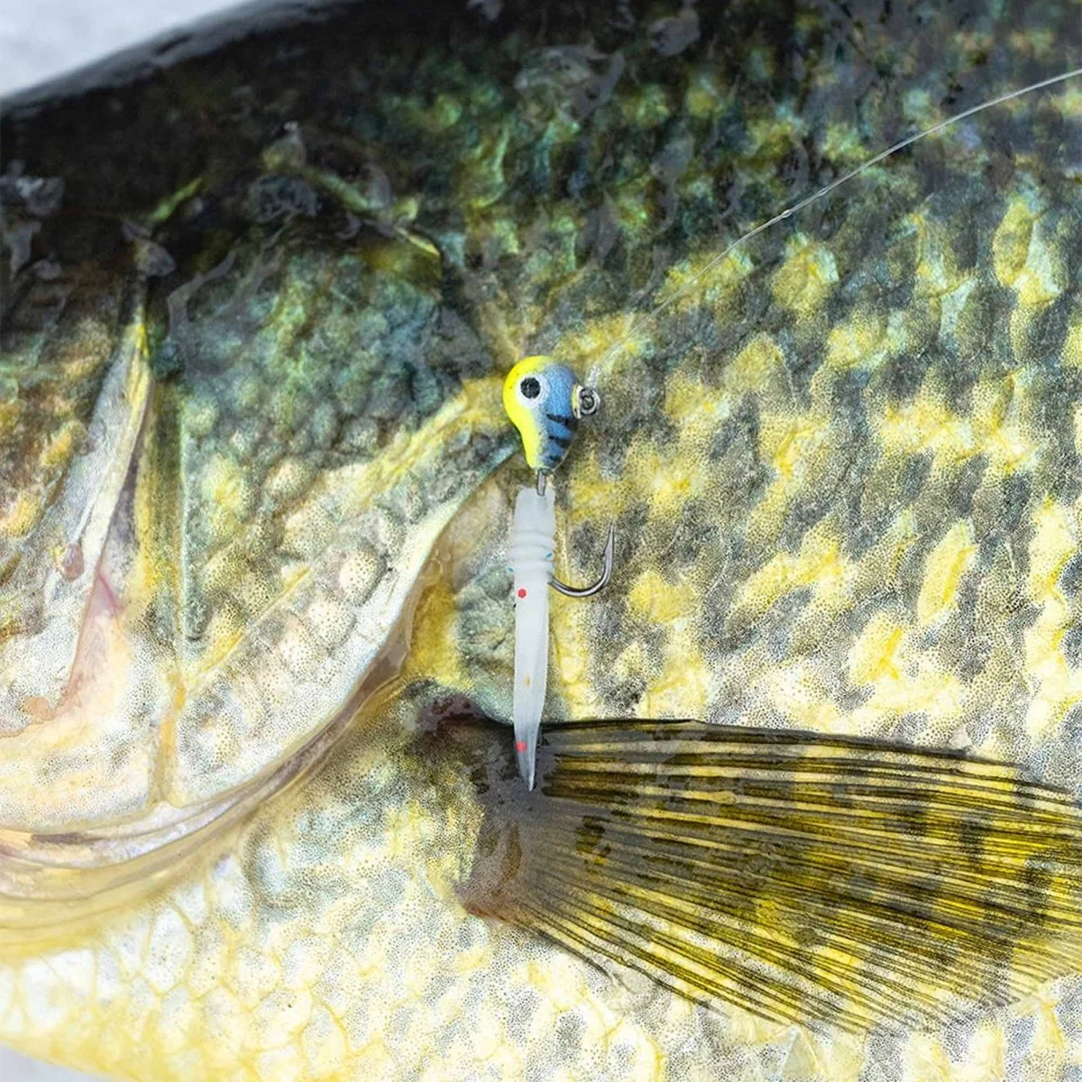 13 Fishing Sneak Panfish Plastics 23mm, Potentially Purple, Fishing Lure - Image 2