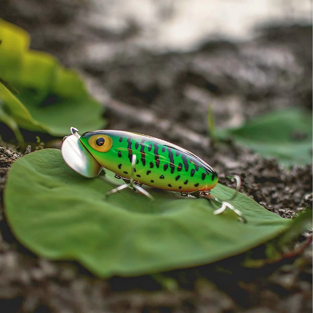 Arbogast Jitterbug Clicker 1/4 oz. Topwater Fishing Lure - Black - Image 3
