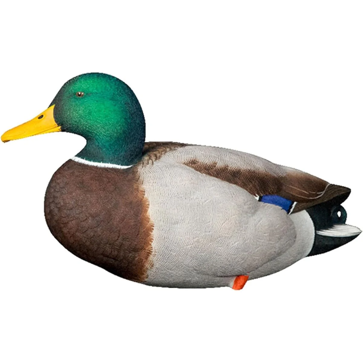 Avian X AXP Full Body Mallards Fusion Pack of 6 Decoys Includes Slot Bag and Field Stakes - Image 3