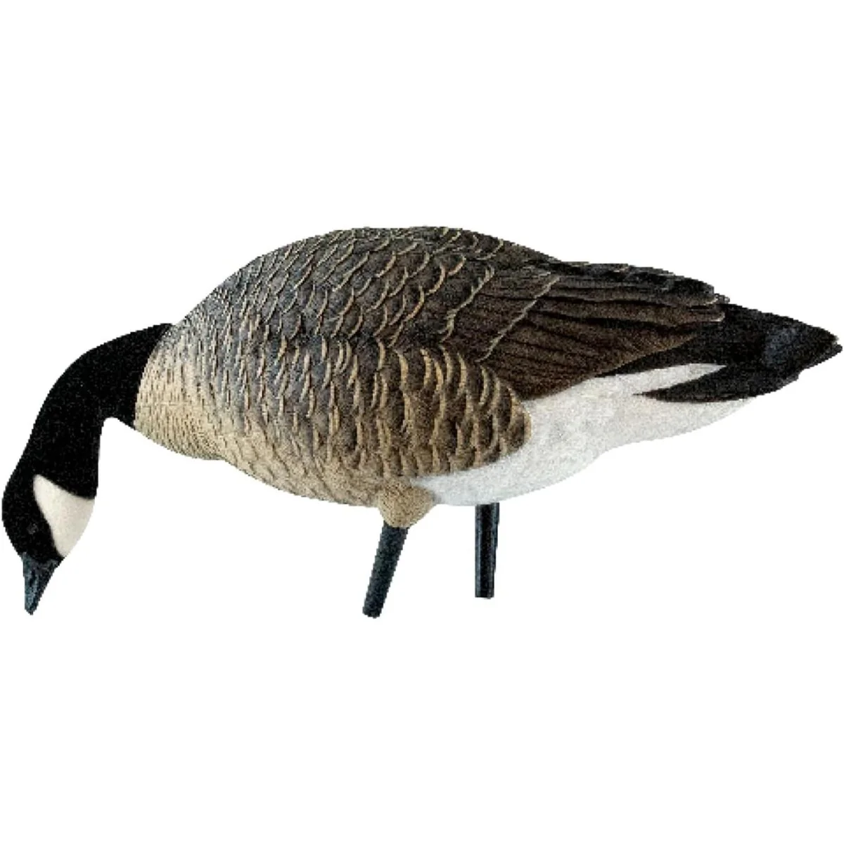 Avian X AXP Lessers : Feeder Pack of 6 Decoys - Image 4