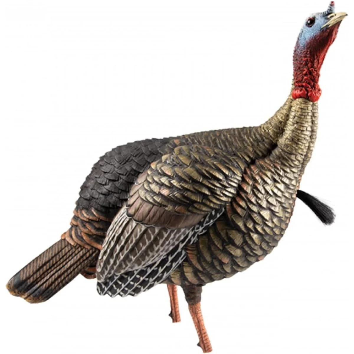 Avian X Heavy Duty Realism Jake Decoy - Image 2