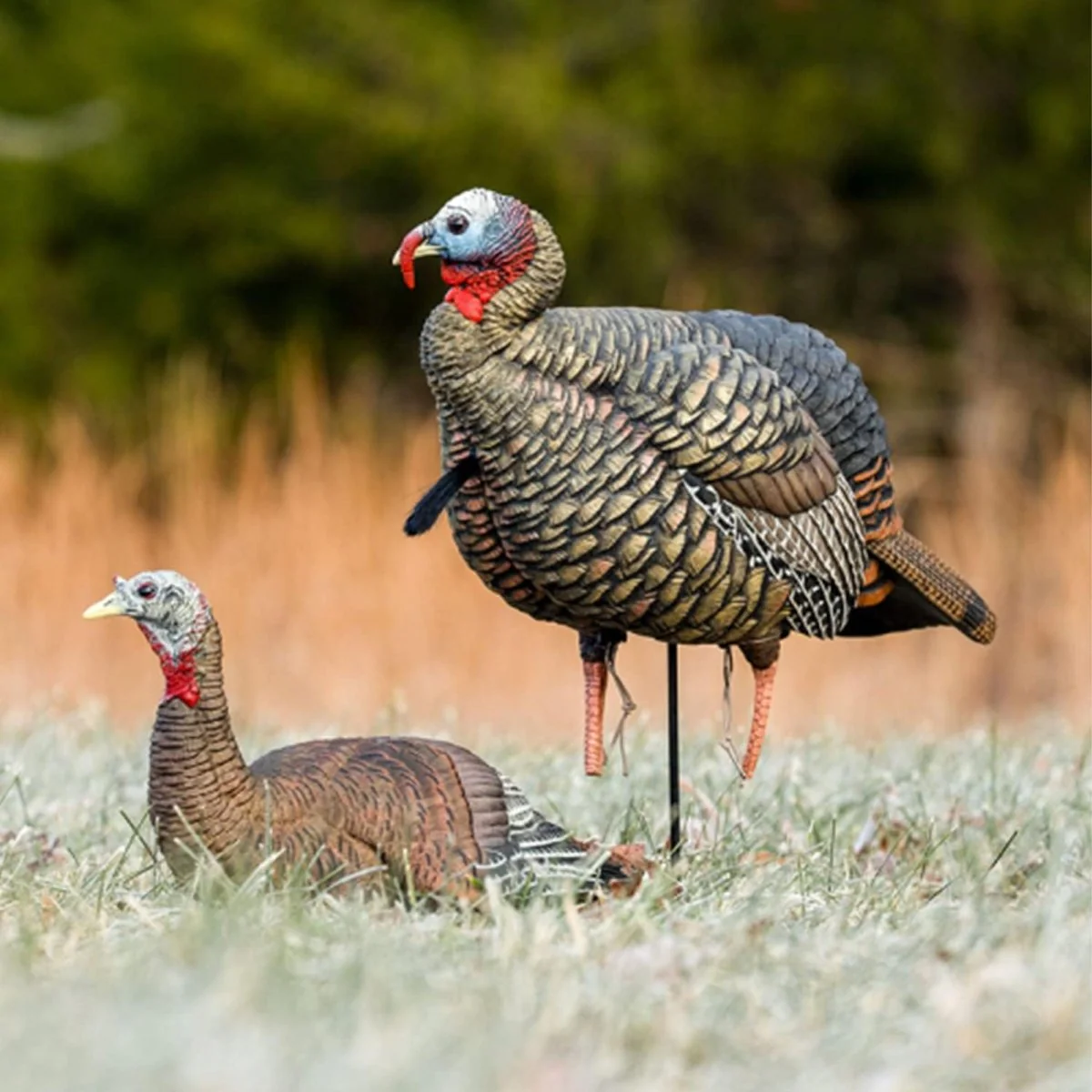 Avian X Heavy Duty Realism Jake Decoy - Image 4