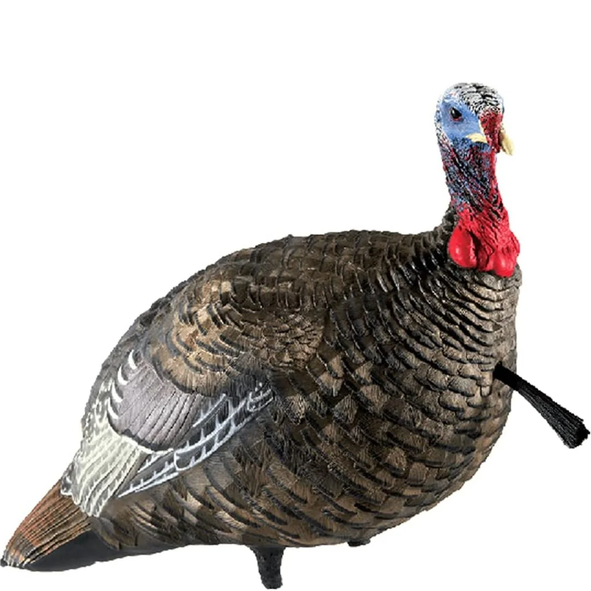 Avian X Lifelike Collapsible Decoy Quarter-Strut, Jake Decoy