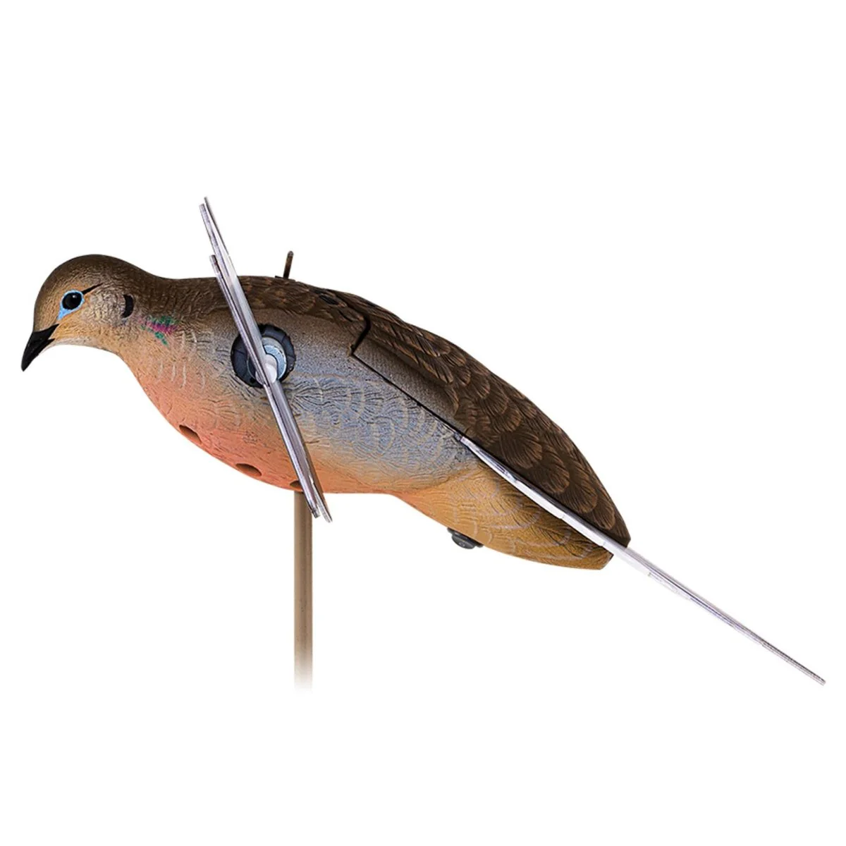 Avian X Powerflight Spinning Wing Dove - Image 3
