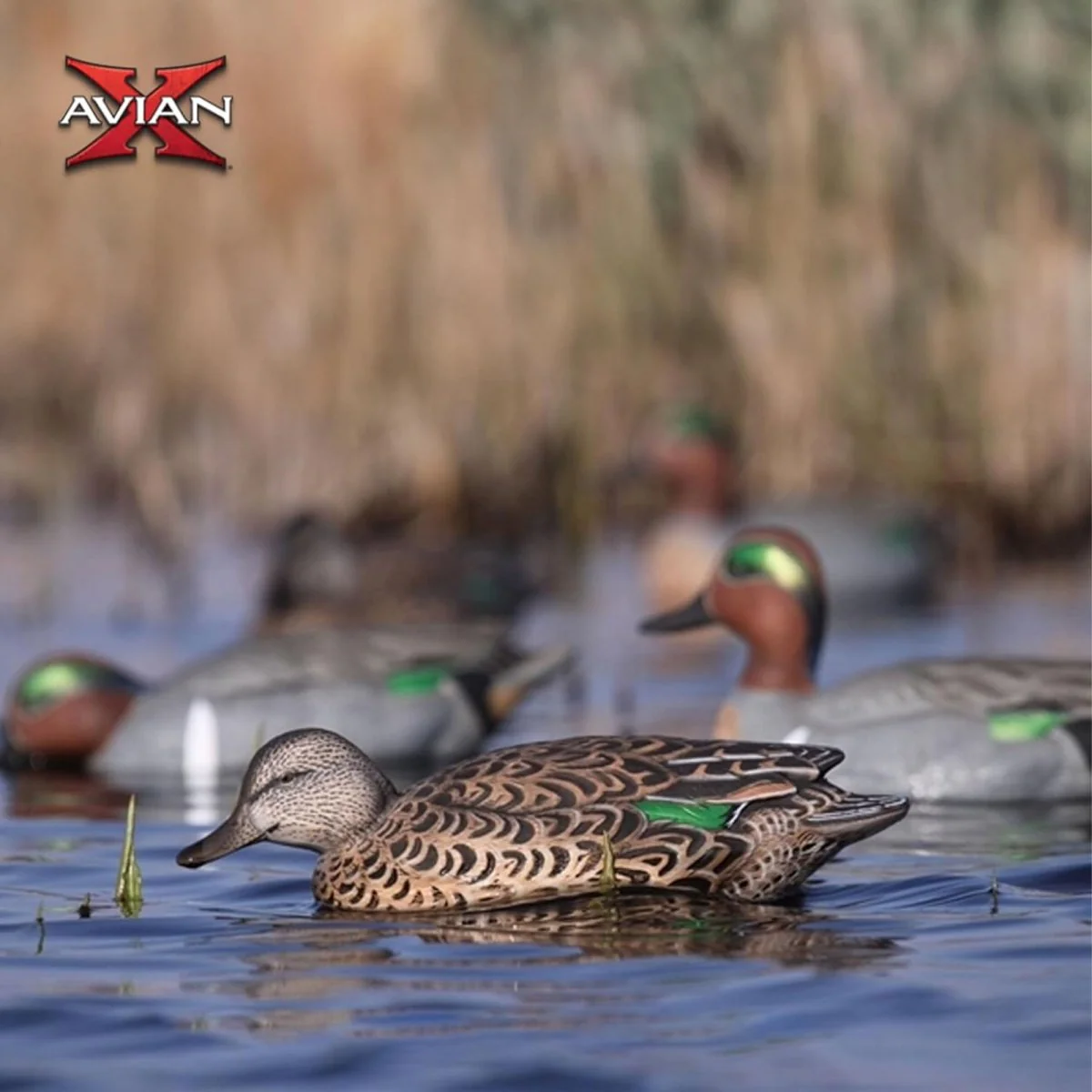 Avian X Topflight Early Season Teal Pack of 6 Floating Decoys - Image 4