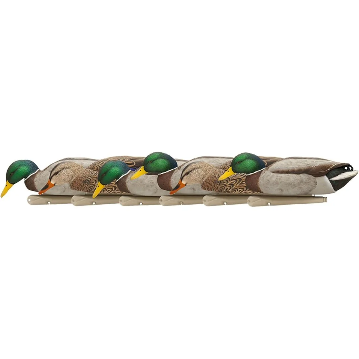 Avian X Topflight Mallards Backwater Pack of 6 Floating Decoys