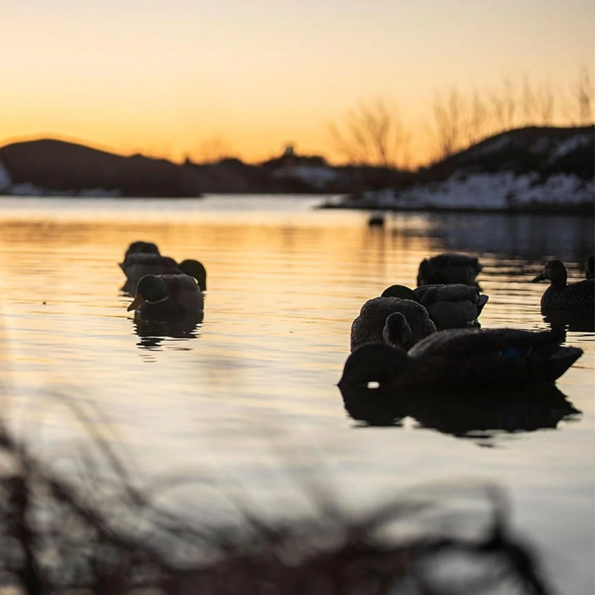 Avian X Topflight Mallards Backwater Pack of 6 Floating Decoys - Image 4