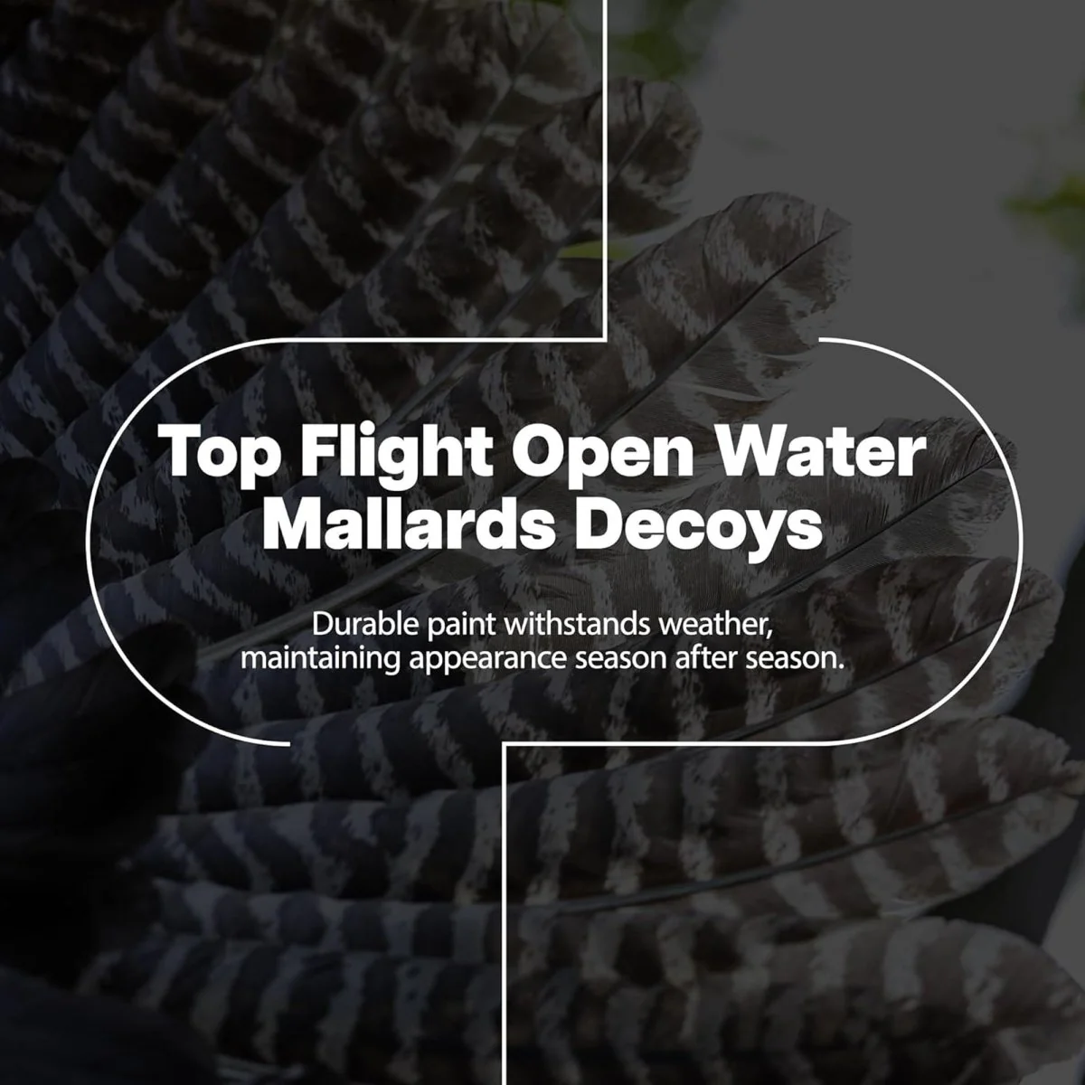 Avian X Topflight Mallards Open Water, Pack of 6 Floating Decoys - Image 2