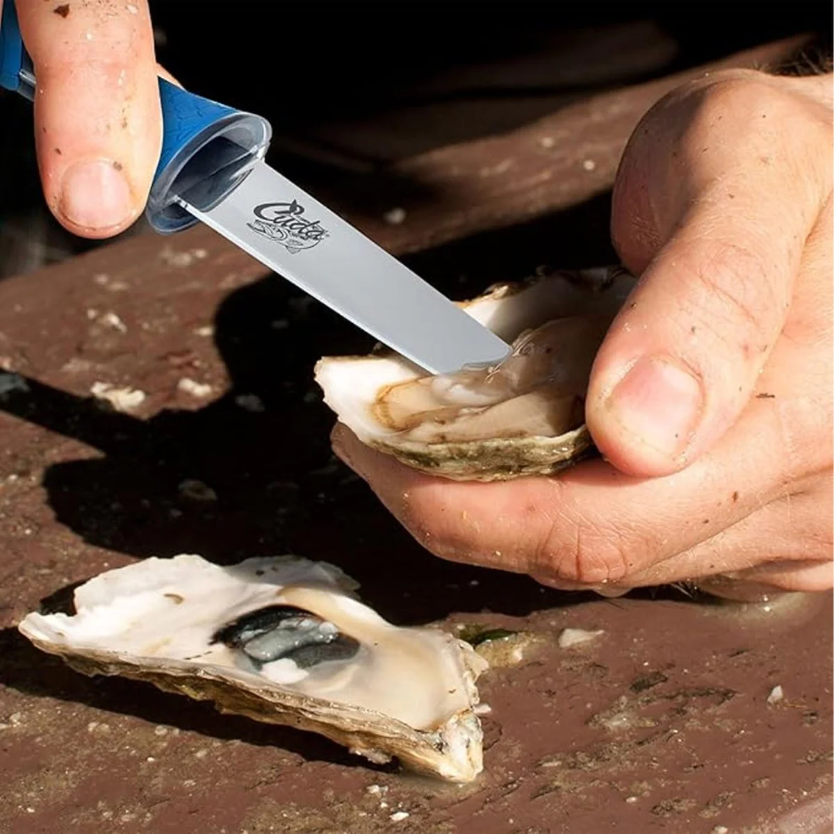Cuda 3.5" Shucking Knife Titanium Bonded - Image 4