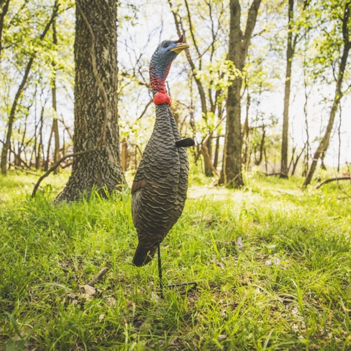 Flextone Hunting Funky Chicken Gen .2 - Image 5