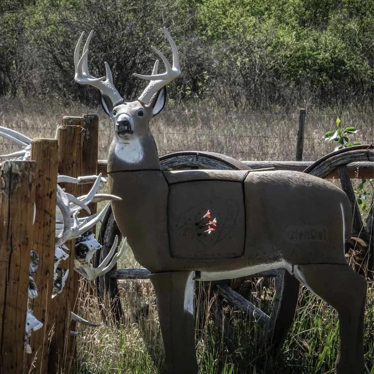 GlenDel Target Buck w/4-Sided Insert - Image 3