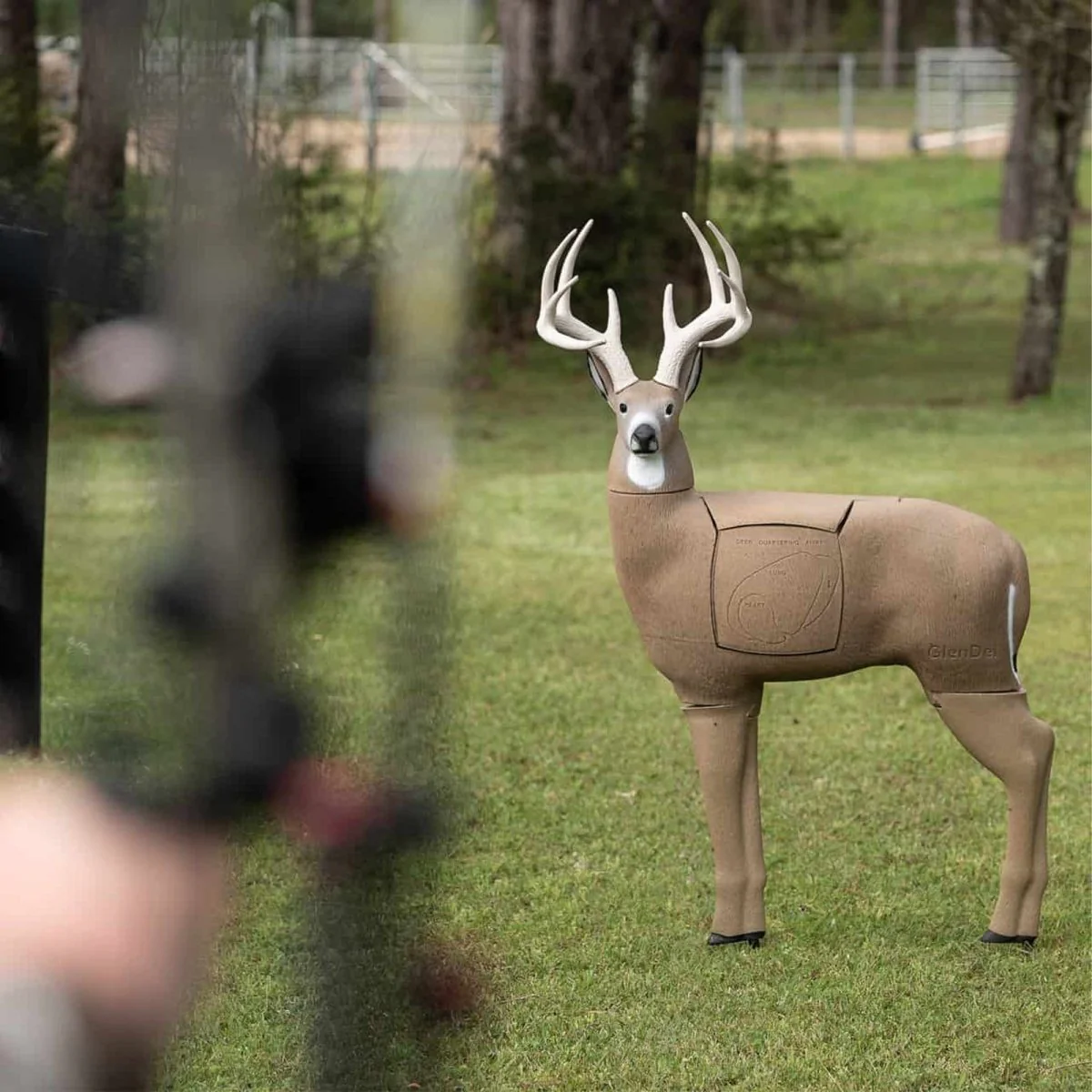 GlenDel Target Buck w/4-Sided Insert - Image 5