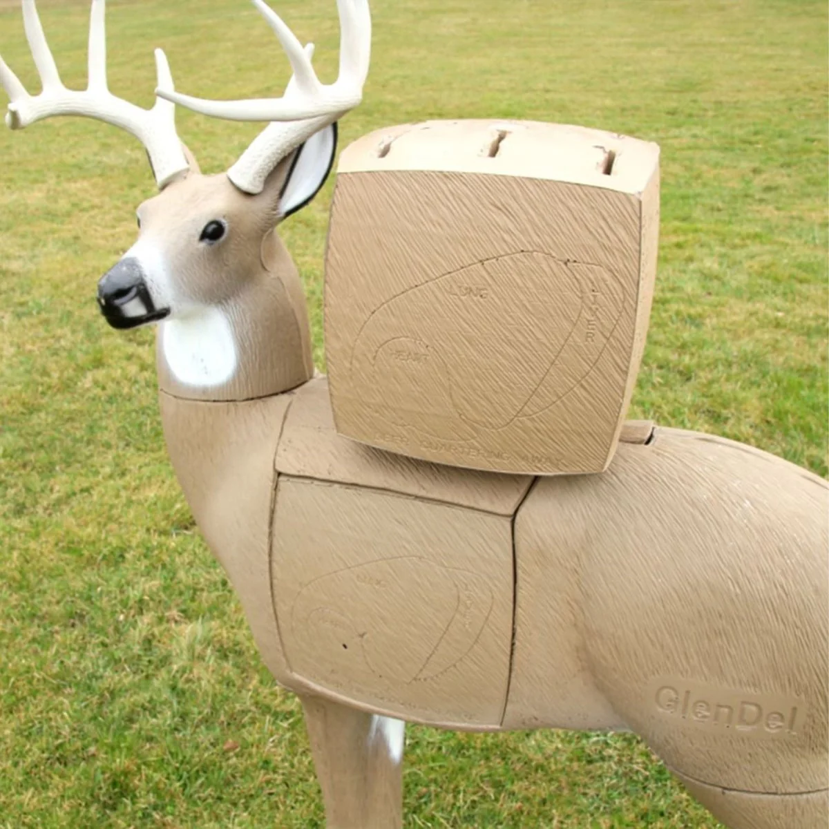 GlenDel Target Pre-Rut Buck w/ 4-Sided Insert - Image 4