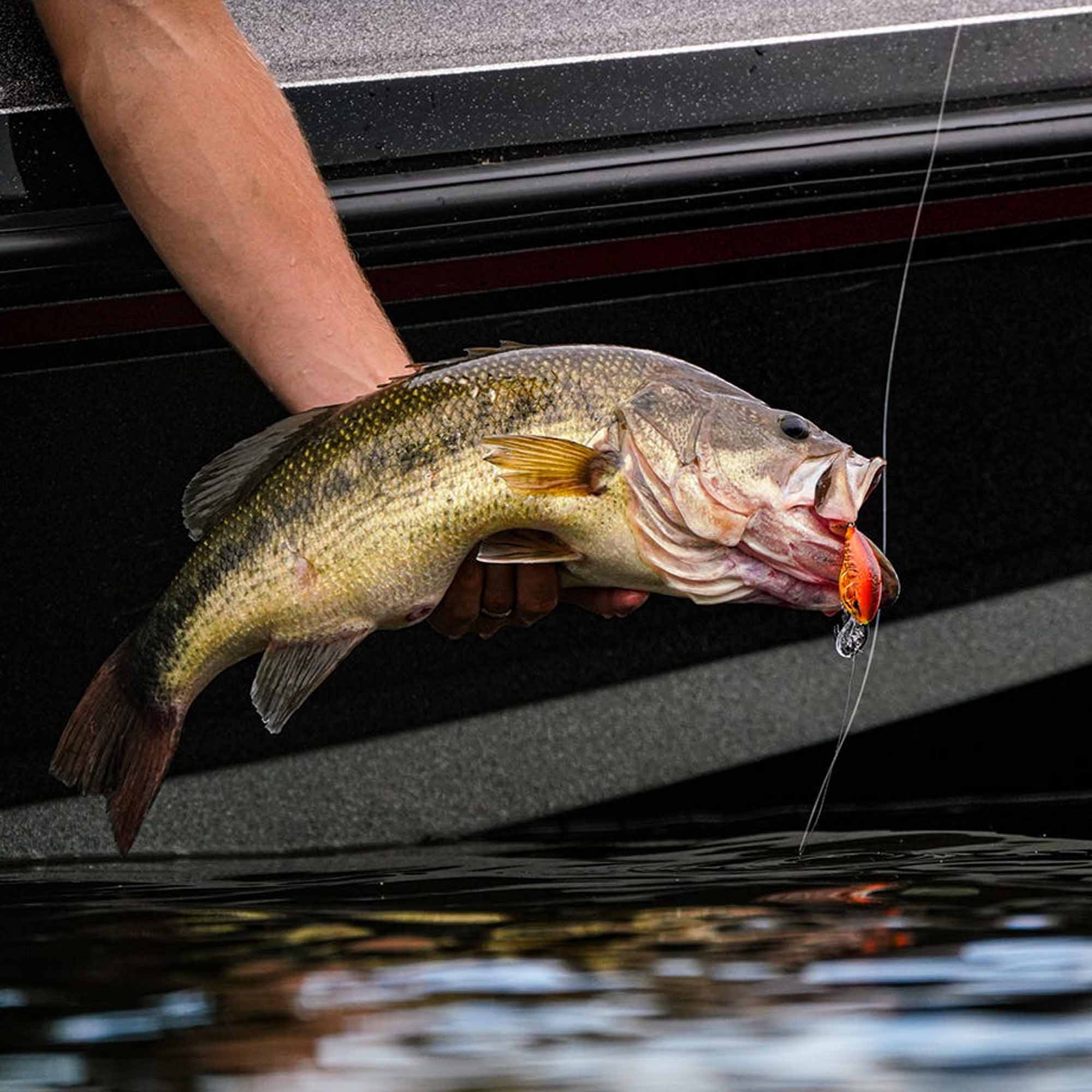 Rapala Dives-To 08, Lemon Shad, Fishing Lure - Image 4