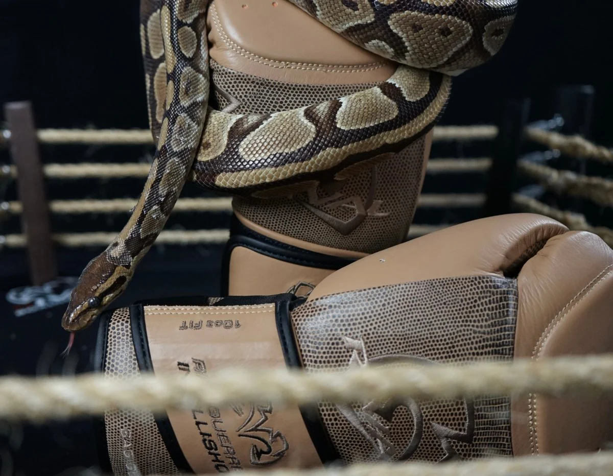RIVAL Boxing RFX-Guerrero Intelli-Shock Bag Gloves, Snake Skin Limited Edition - Image 5