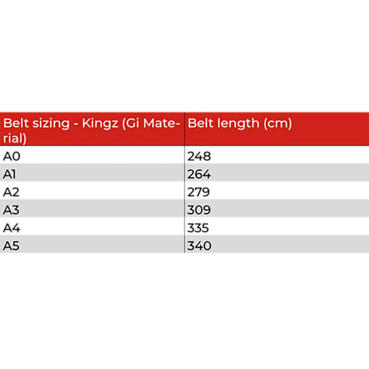 Tatami Fightwear Kid's IBJJF Rank Belt - Gray - Image 2