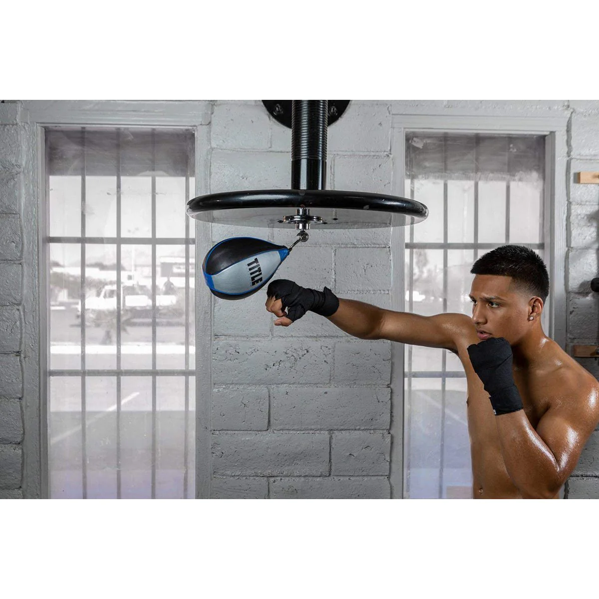 Title Boxing Platinum Perilous Speed Bag - Black/Silver - Image 3