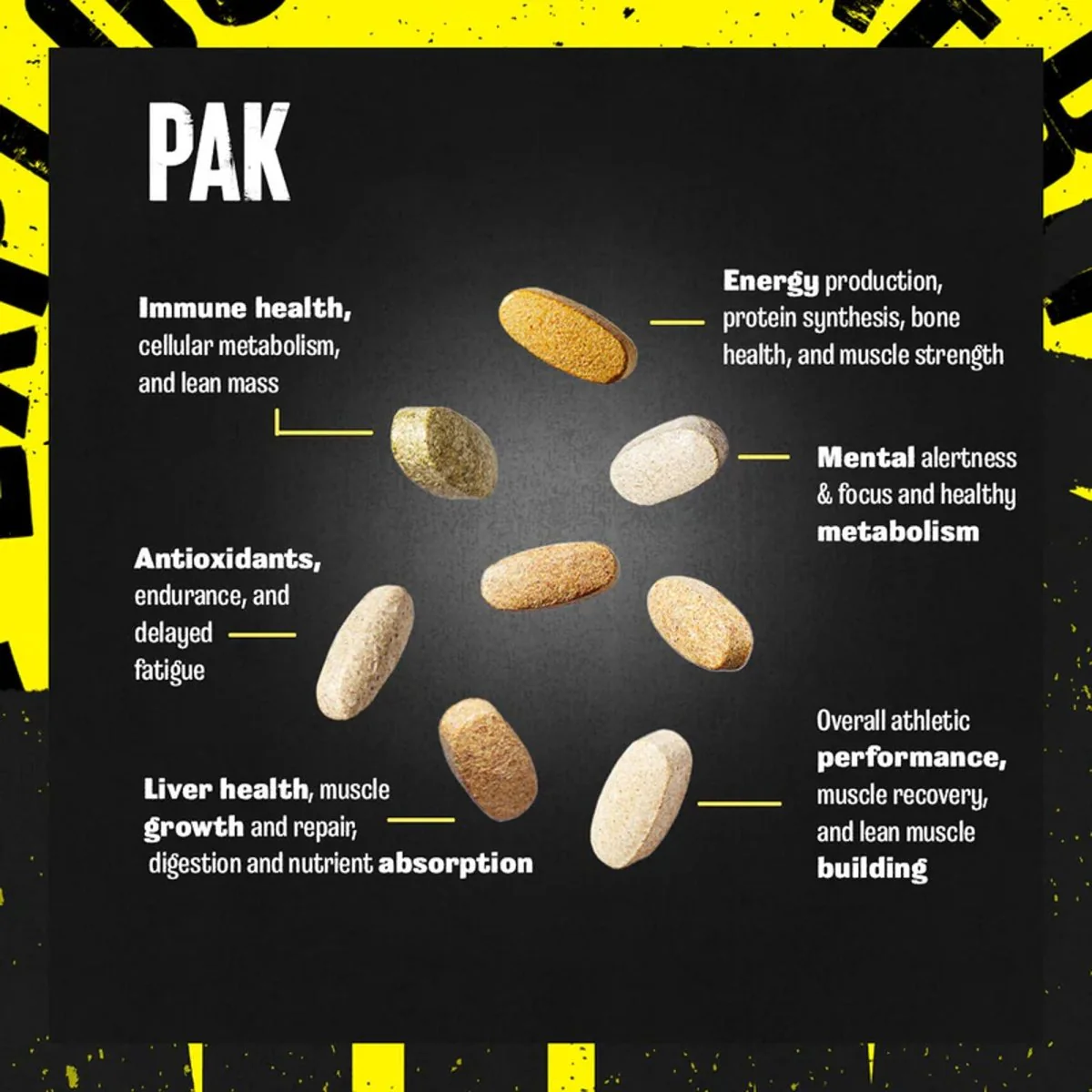 Universal Nutrition Animal Pak Dietary Supplement - 44 Packs - Image 4
